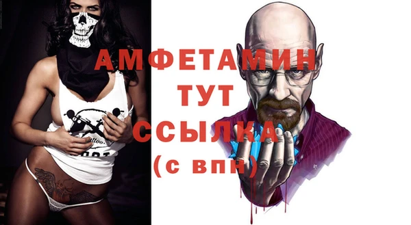 шишки Арсеньев