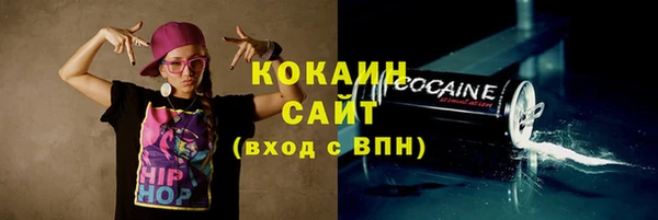 шишки Арсеньев