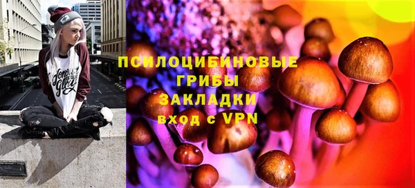 дурь Аркадак