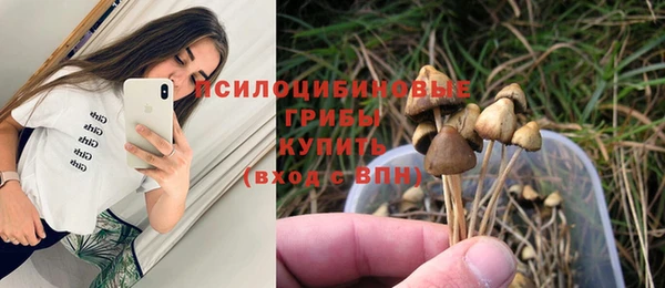 дурь Аркадак