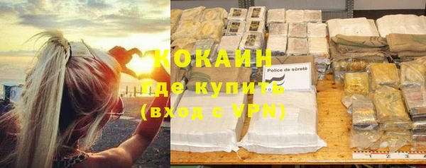 шишки Арсеньев