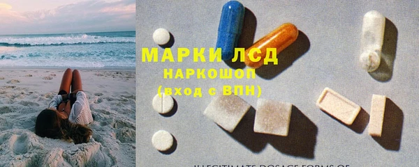 шишки Арсеньев