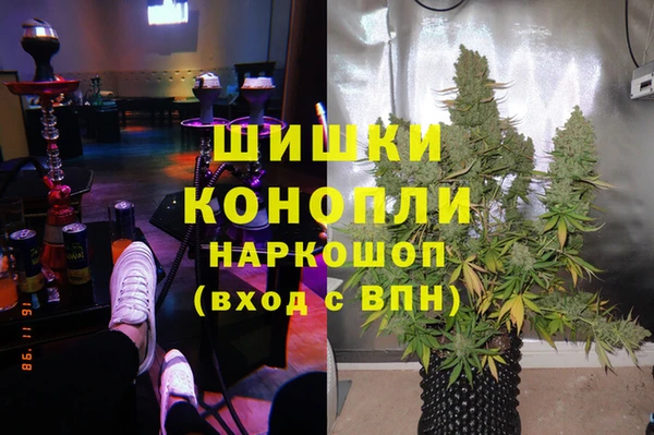 шишки Арсеньев
