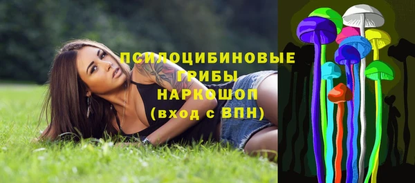 дурь Аркадак