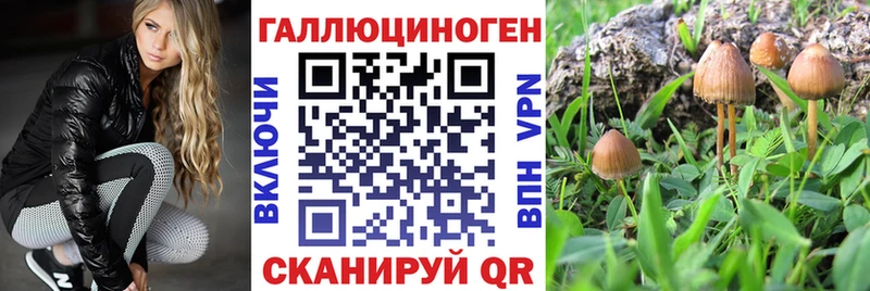 блэк спрут Тулун Галлюциногенные грибы MAGIC MUSHROOMS купить наркотики сайты